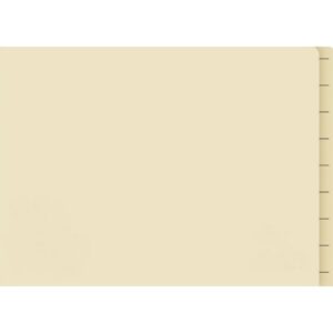 Lateral Document Files - Foolscap - Heavy Weight - 233gsm - Pack of 180 - FILLHW400