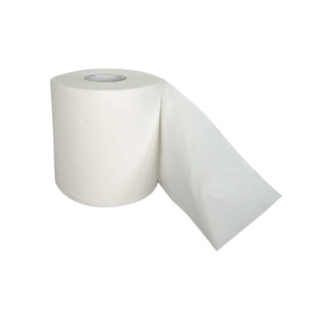 Toilet Paper - 1 Ply - Virgin - 500 Sheets - Pack of 48 - PP_09