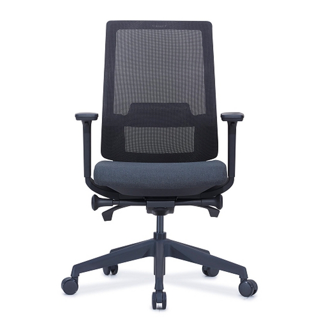 Ergonomic Office Chair- Without Headrest - EOFF