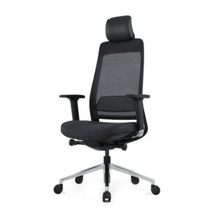 Ergonomic Executive Chair - With Headrest - EEXECWHR