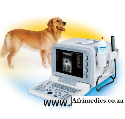 Small Animal Ultrasound Scanner