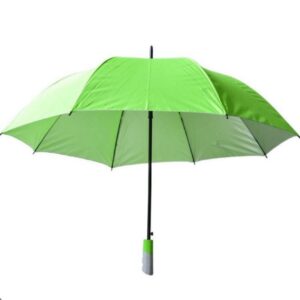 Umbrella- Lime