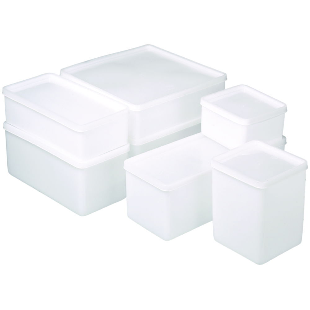 Bürkle All-Purpose Can Square, 1500 ml, Suitable for Freezing, 207x103x95 mm, PE-Transparent