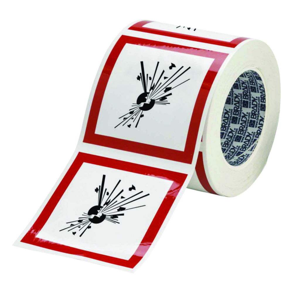 Brady GHS Symbol "Longterm Hazardousness to Health" PIC 1807-100*100-B7541-RLL 100x100 mm, Roll, Pack of 250