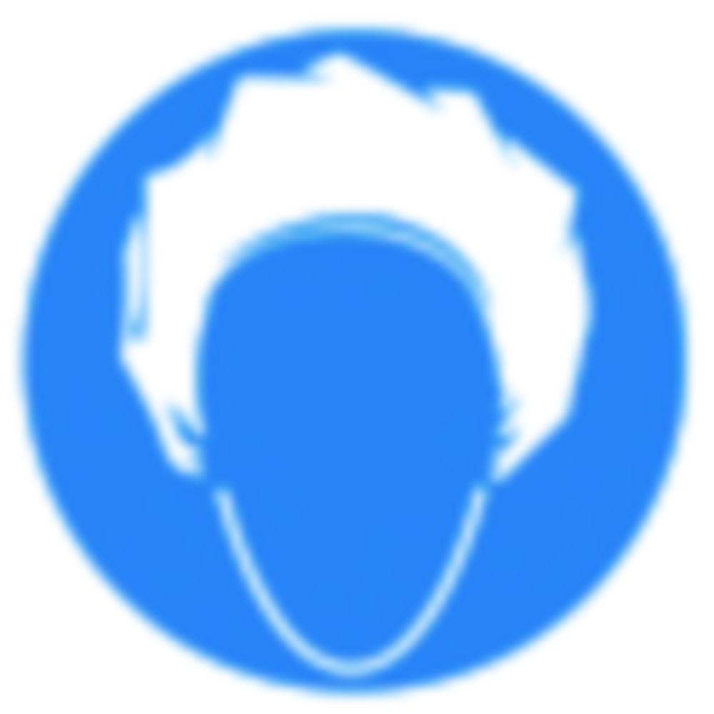 SecuBox® Mini, 23.6x12.0x12.0cm blue "protective hood"