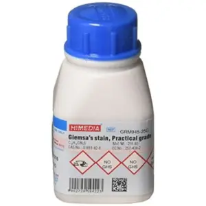 Prepared Giesma Stain