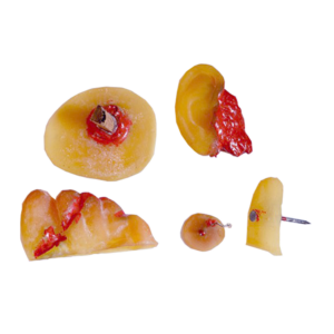 Wound Simulation Kit