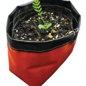 Recycled Drink Bottle Desktop Plant Pot – Full Colour Print Incl