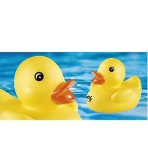 Ducky Duck Bath Toy