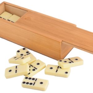 Double Six Dominoe Set