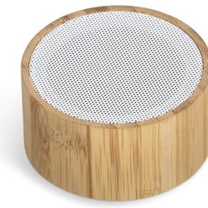 Maitland Corporate Bluetooth Speaker – Great Gift