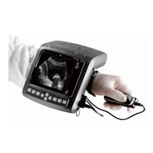 KX5200 VET Big Animal Ultrasound Scanner