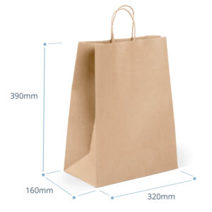 Large Heavy Duty Paper Shopping Bag