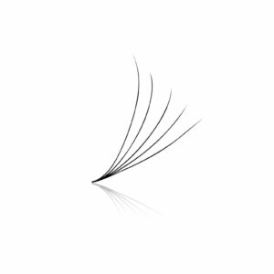 5D Pre-made Volume Fans - Loose 500's