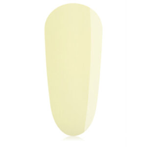 Sorbet BIAB
