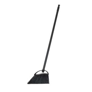 Filmop Broom for Jobby Dustpan