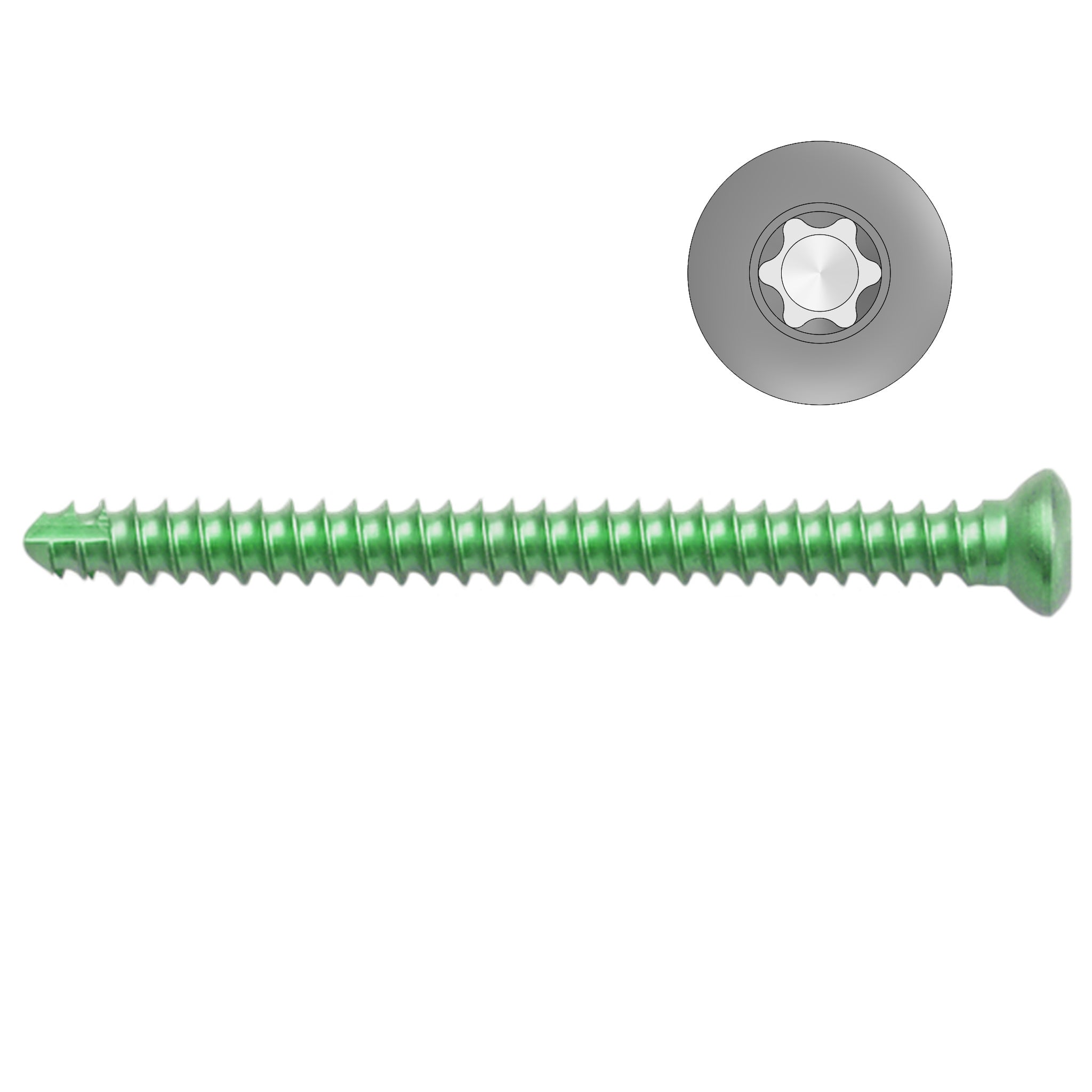 1.5mm Titanium Self-tapping Cortical Screws - Star Drive (German Import)