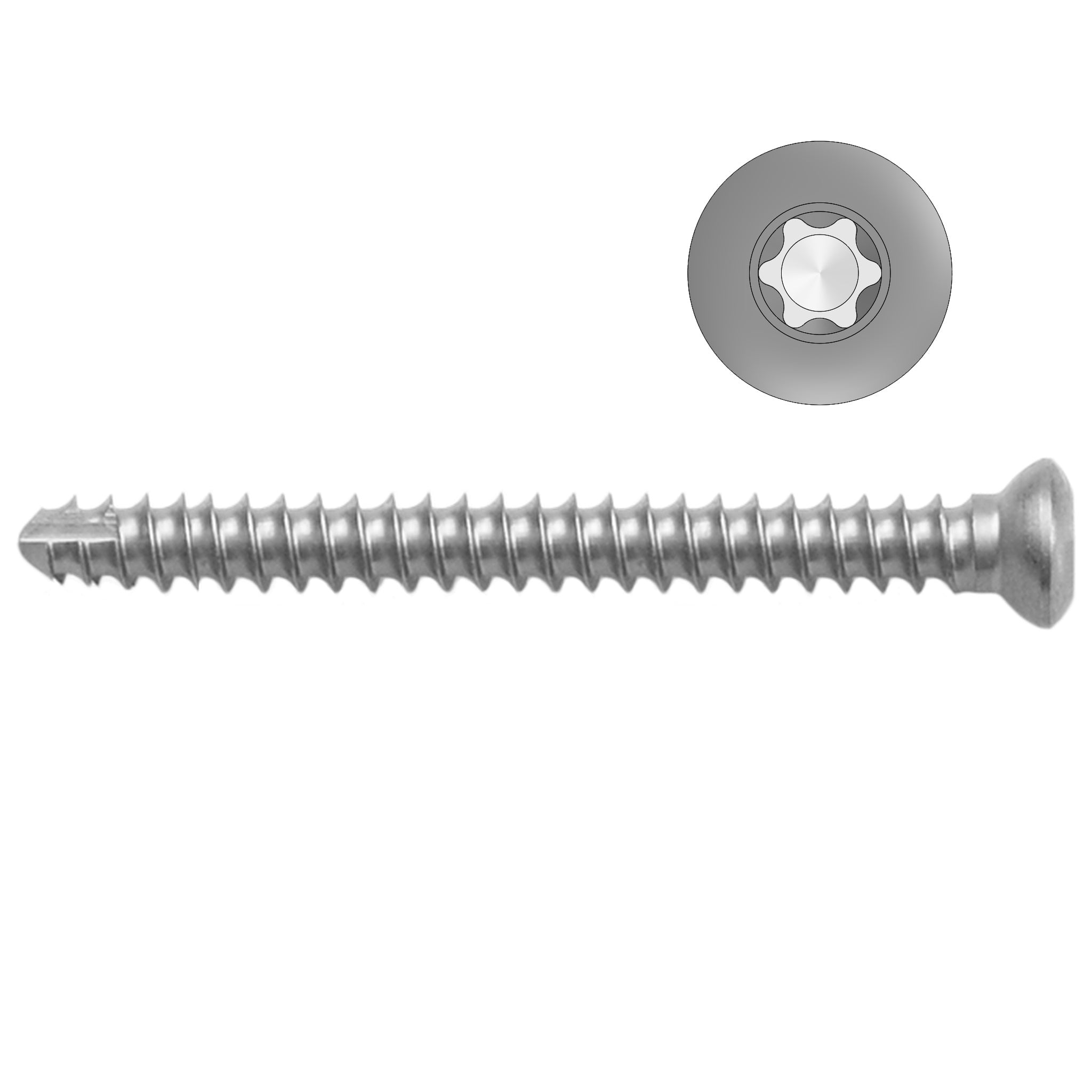 2.4mm Self-tapping Cortical Screws - Star Drive - Stainless Steel (German Import)