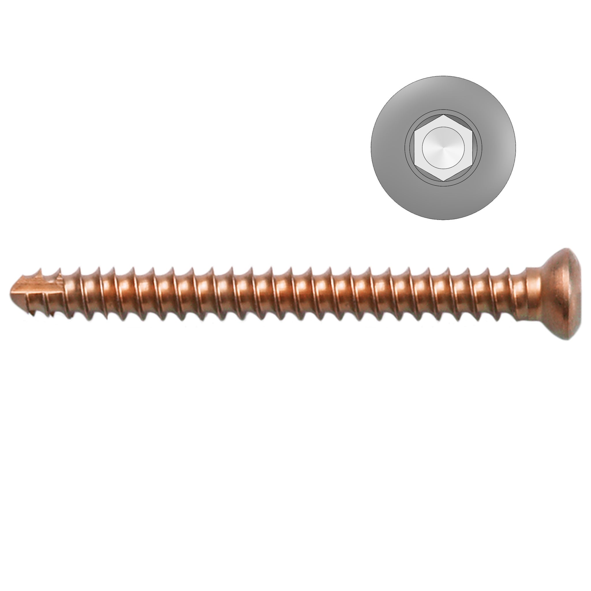 2.4mm Titanium Self-tapping Cortical Screws - Hexagonal Head (German Import)