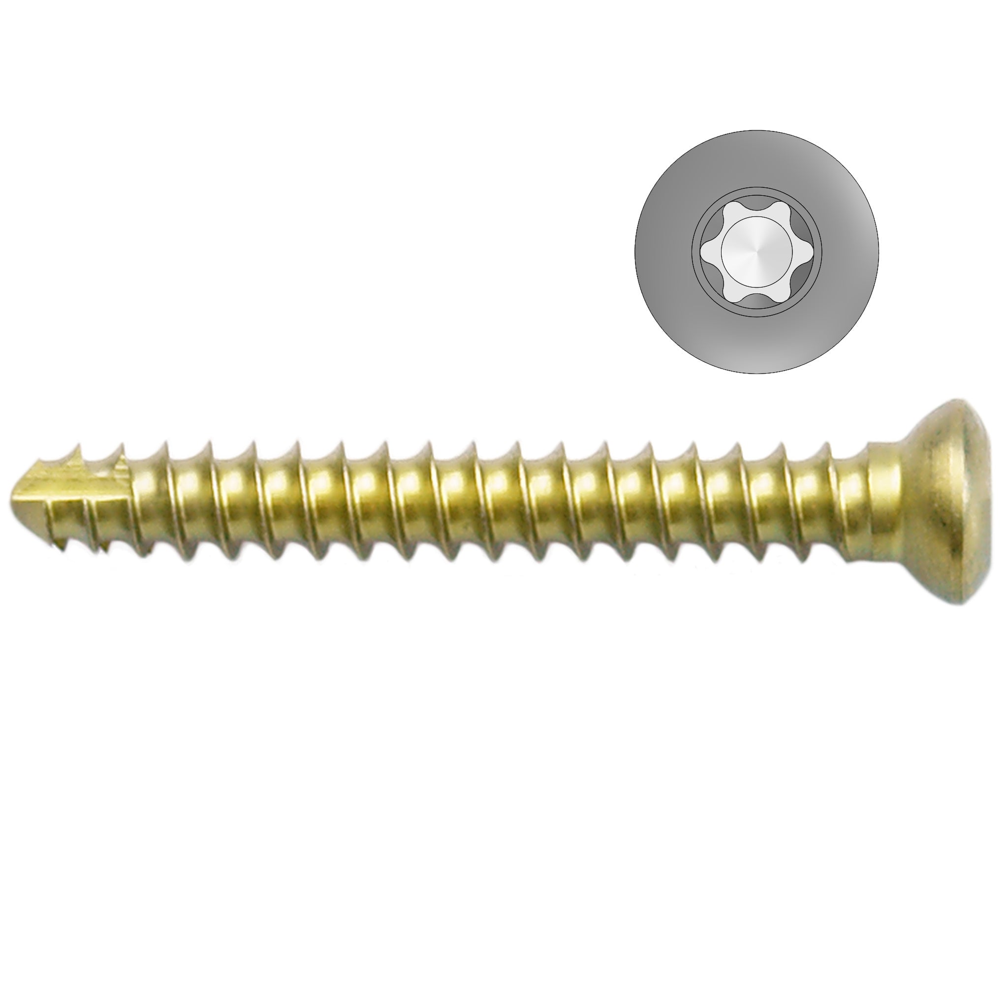 3.5mm Titanium Self-tapping Cortical Screws - Star Drive (German Import)