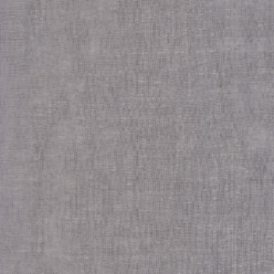 Lace curtain - Beyonce voile