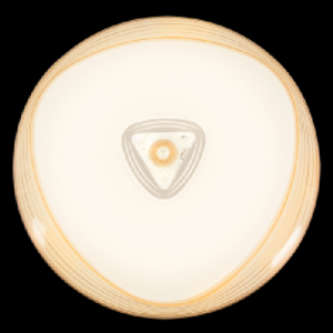 Ceiling Light - CF170 White