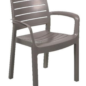 Cafe Chair - Clifton Arm Chair