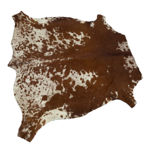 Animal Skin - Cow Skin Nguni