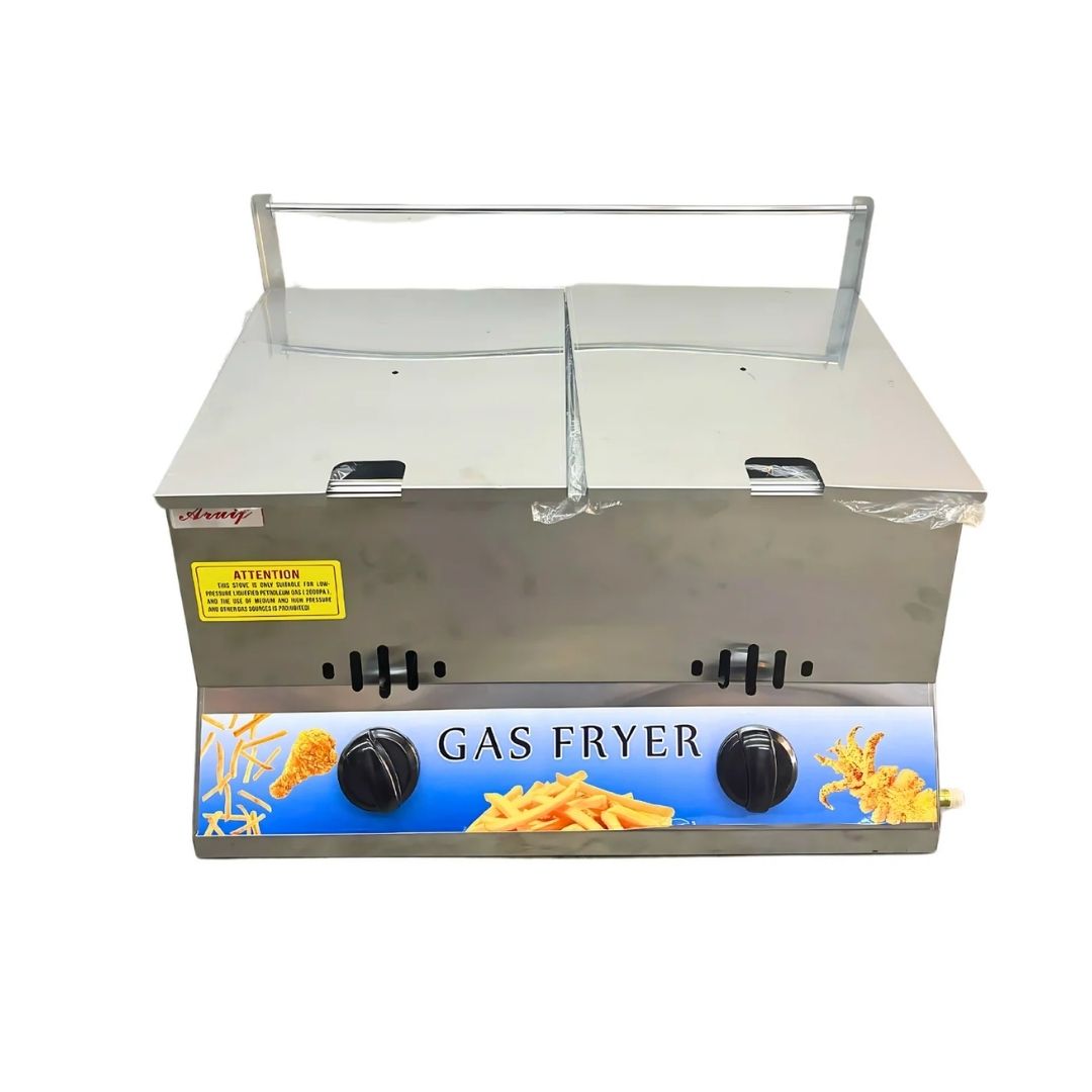 Gas Deep Fryer Double Econo - 12L