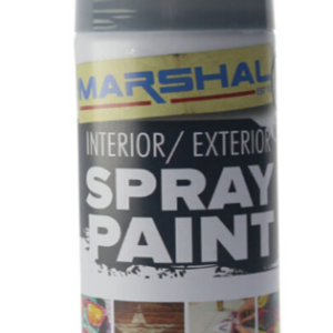 Spray Paint Machine Grey 350ml Grey