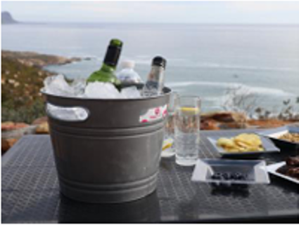 Ice Bucket Delicate Blue, Black, Coral, Red, Silver, Mint, Avo, Assorted and White Packs of 5