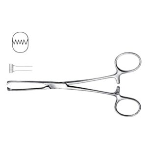 Unfinished Allis Intestinal Grasping Forceps – 5x6 Teeth, 200mm (Economy Range)