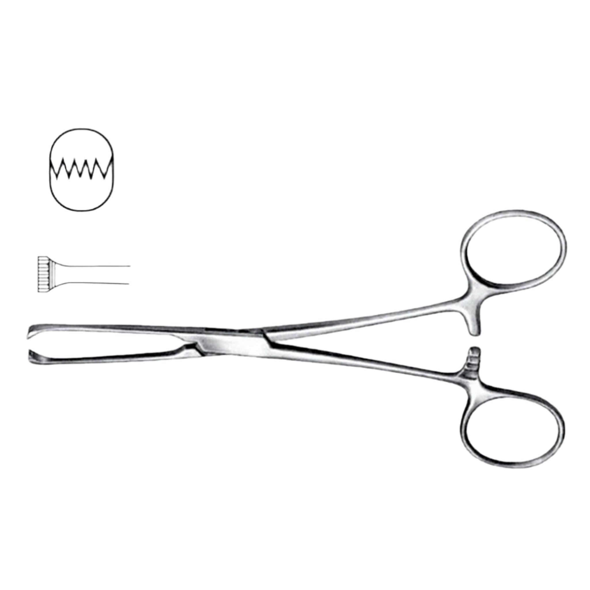 Unfinished Allis Intestinal Grasping Forceps – 5x6 Teeth, 200mm (Economy Range)