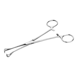 Unfinished Babcock Tissue Forceps – 200mm (Economy Range)