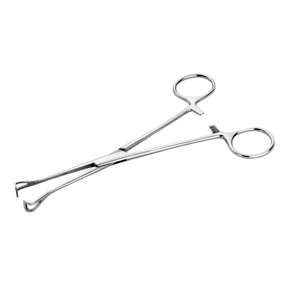 Unfinished Babcock Tissue Forceps – 200mm (Economy Range)