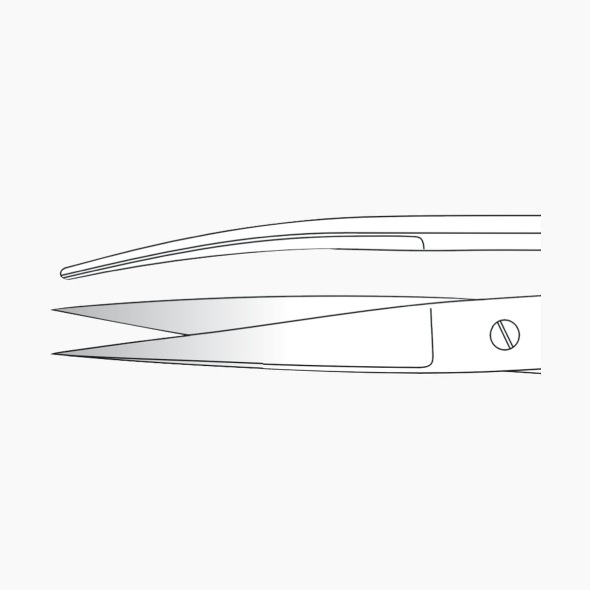 Standard Operating Scissors – Economy Range by Rhein (Sharp/Blunt, Blunt/Blunt, Sharp/Sharp) - Image 4