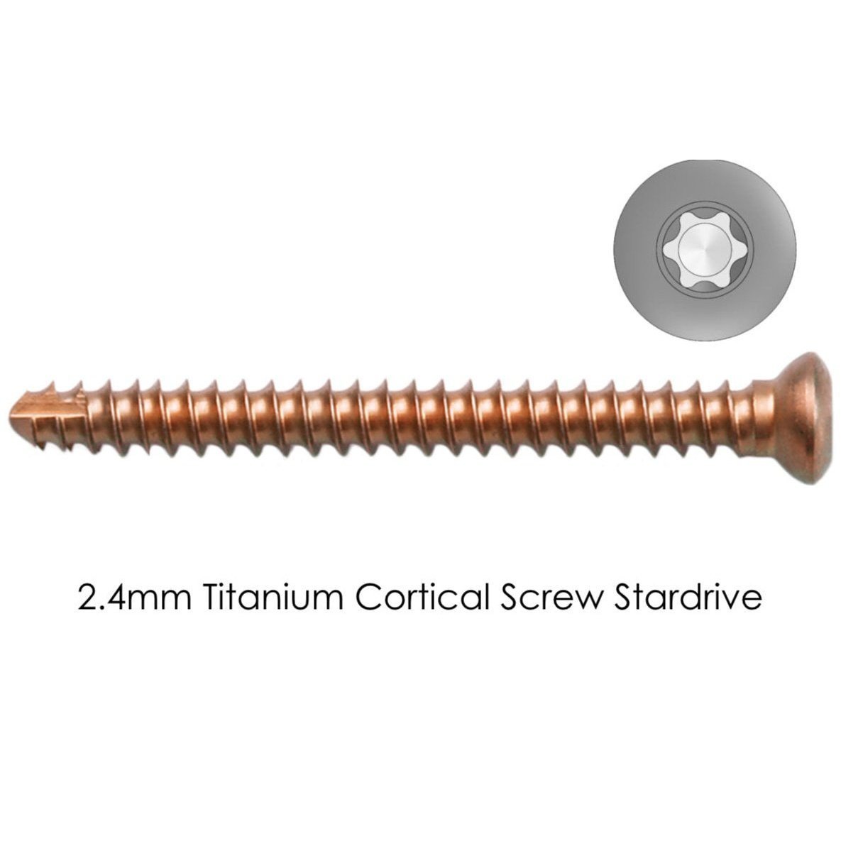 TTA Rapid Self-Tapping Titanium Screws 2.0 & 2.4mm – Hex/Star - Image 3