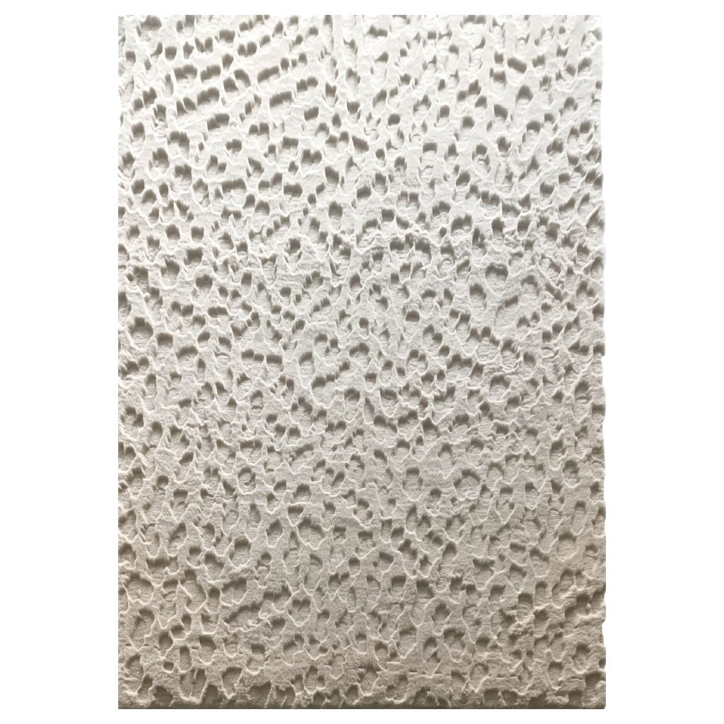 Carpet - Wadi